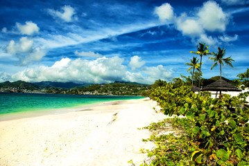 Grand Anse Beach, Grenada - obrazy, fototapety, plakaty