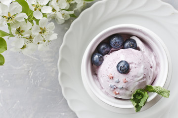 Close-up of blueberry ice cream and blueberries in a white bowl surrounded by beautiful flowering apple tree branches.