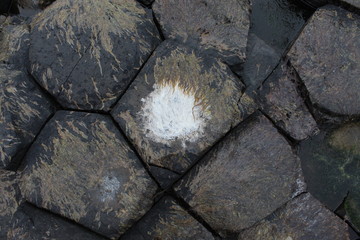 Ireland Giants Causeway Beach Rocks