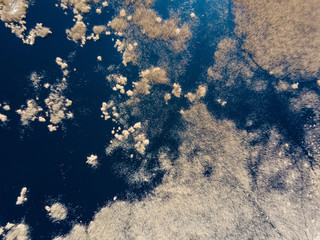 drone image. aerial view of rural area with fields and forests and swamp lake with blue water