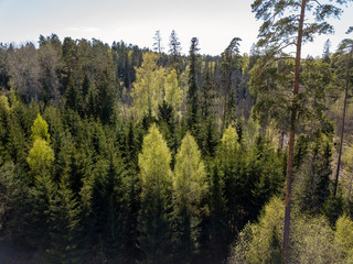 drone image. aerial view of rural area with fields and forests