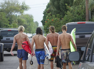 Group of young surfers at North Shore, Oahu, Hawaii - obrazy, fototapety, plakaty