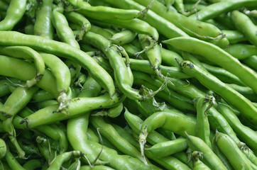 Palermo Green Bea Vuccns at Market 1