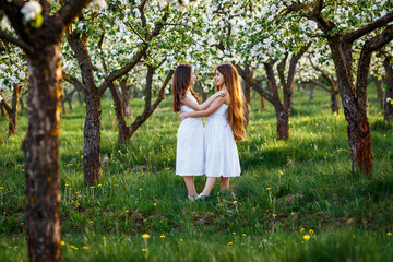 beautiful young girls in white dresses in the garden with apple trees blosoming having fun and enjoying smell of flowering spring garden at the sunset. two friends holding hands, hugging, whispering