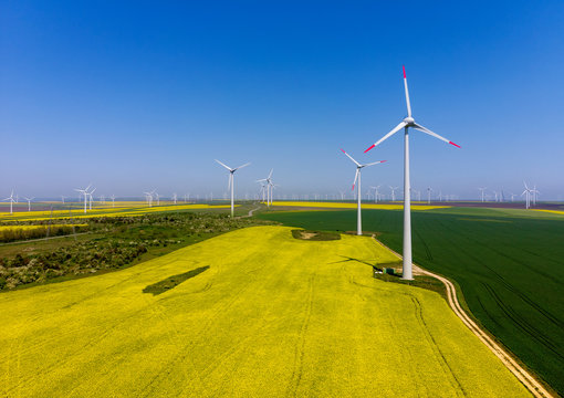 Aerial view of eolian turbines. Rapeseed field in bloom. Renewable energy