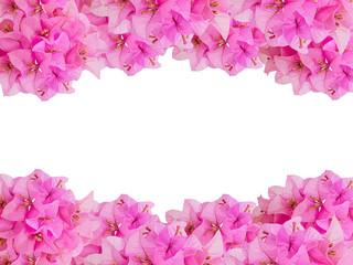 framework of pink bouquet Bouginvillea flowers with empty space on white background and Clipping Paths for easy die cut