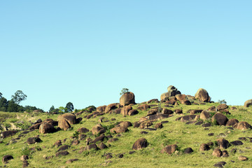 Green field landscape with rocks