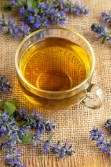 A cup of blue bugle tea with fresh plant