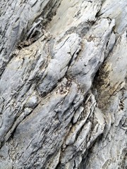 Fototapeta na wymiar Grey rock erodated by water