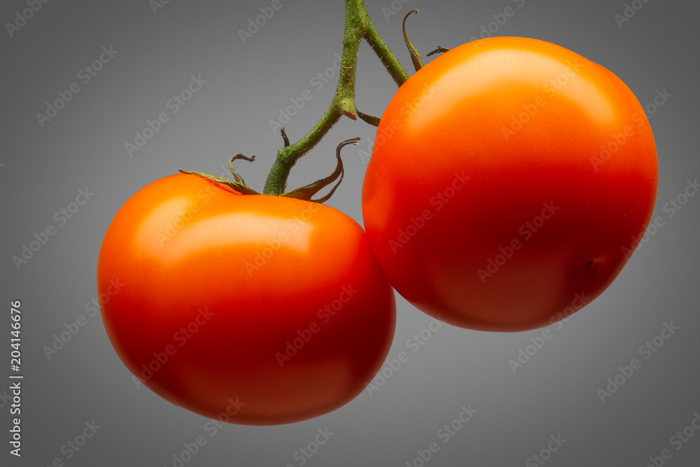 Wall mural bunch of delicious red tomatoes isolated on grey background with clipping path