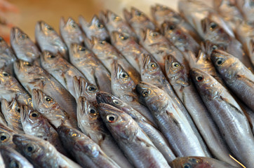 Palermo Sardines at Market 1
