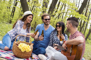Group of friends enjoying picnic day together
