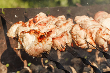 pieces of meat on skewers roasting on the grill. Shish kebab, bbq, pork.