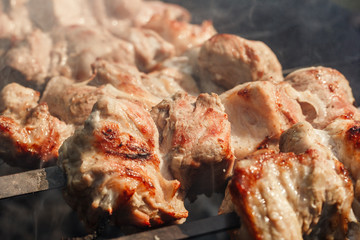 Obraz na płótnie Canvas Smoke rises above pieces of meat on skewers roasting on the grill. Shish kebab, bbq, pork.