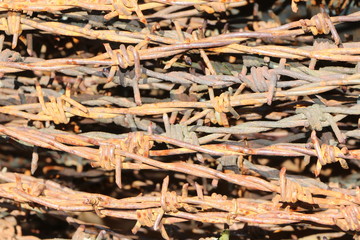 Barbed Wire, rostiger Stacheldraht