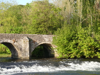 Fototapeta na wymiar A Medieval stone bridge crossing the River Exe in Bickleigh village, Devon, England, UK on a summers day