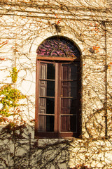 Old Window in Colonia del Sacramento - Uruguay