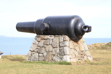 cannon