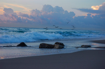 Fototapeta premium Morning Flight