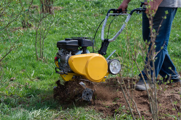 The farmer plows the land with a motoblock. The cultivator loosens the ground.