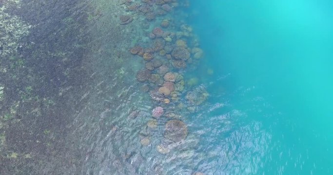 Aerial: Fly cam move lockdown on the transparent blue sea surface against the coral  bottom 