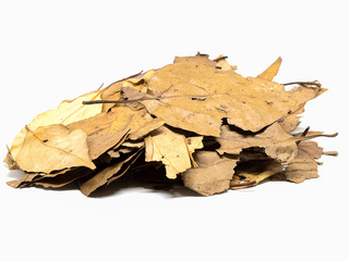 Dried bay leaves.