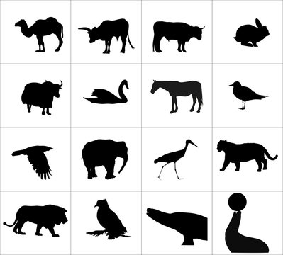 Silhouettes of animals and birds