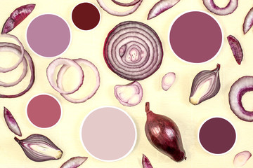 Red onions and color samples