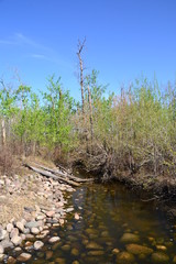 Creek at a Man-made Marshland