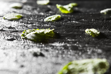 Mint leaves on stone table. Top view with copy space