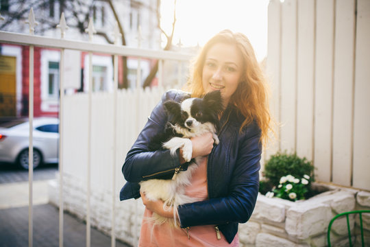 A young red-haired Caucasian woman holds a small funny dog in the arms of two colors of black and white chihuahua. Hugs and kisses love shows against a white wooden fence at sunset