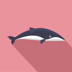 Fototapeta premium Minke whale icon. Flat illustration of minke whale vector icon for web design