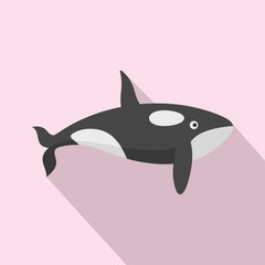 Orca whale icon. Flat illustration of orca whale vector icon for web design