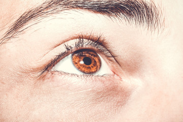 Obraz premium Image of man's brown eye close up