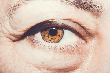 Beautiful insightful look brown woman's eye.