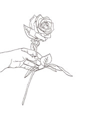 Hand holding a rose flower. Hand drawn sketch, Vector illustration.