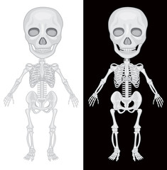 Skeleton on Black and White Background