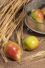 Yellow and red pears on burlap and in vintage pan decorated with wheat grass