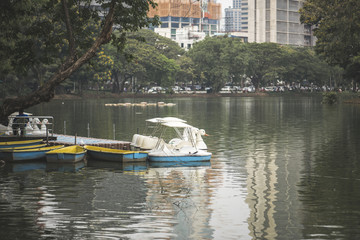 Fototapeta na wymiar Swan paddle boats in Lumphini Park, Bangkok