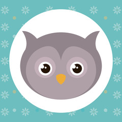 cute owl head tender character vector illustration design
