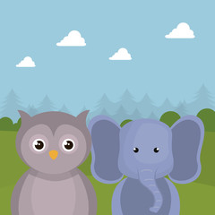 cute elephant and owl in the field landscape character vector illustration design
