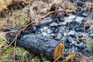 A fired fireplace by the lake. Burned pieces of wood and ash in a place for smoking fires.