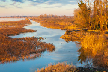 marshes of Comacchio at sunset