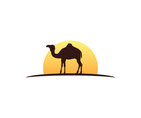 Fototapeta premium camel and sun vector icon logo design