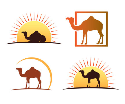 camel and sun vector icon logo design set