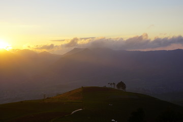 Landscape of a hill with trees on top captured in the morning after sunrise long angle.