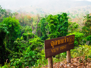 (Bua Tong) sticky waterfalls close to Chiang Mai in north Thailand