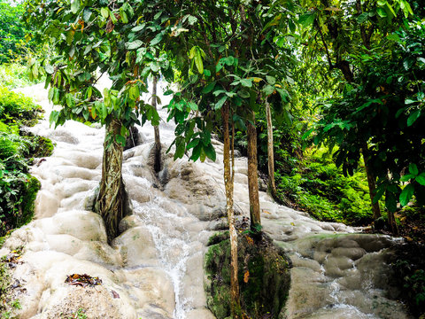 (Bua Tong) sticky waterfalls close to Chiang Mai in north Thailand