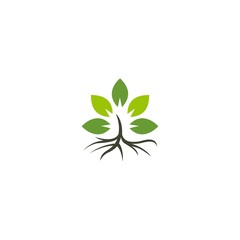 Leaf Root Naturally Ecology Logo, Green Leaf Icon Vector Illustrations, Eco icon green leaf vector illustration isolated.