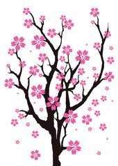 Sakura Tree